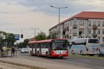 kép előnézete 369118
