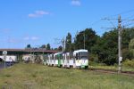 miniatura zdjęcia 375774