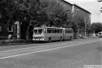 náhled fotky 380090
