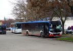 kép előnézete 381660