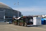 miniatura zdjęcia 385017