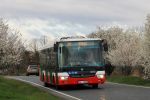 fotó