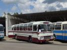 miniatura zdjęcia 392641