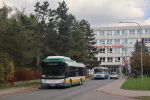 kép előnézete 402907