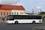 miniatura zdjęcia 403340