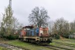 fotografie