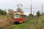 kép előnézete 407173