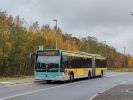 kép előnézete 408442