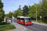 miniatura zdjęcia 412288
