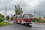náhled fotky 423296