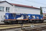 miniatura zdjęcia 425703
