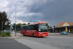 miniatura zdjęcia 426192