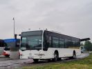miniatura zdjęcia 428949