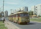 miniatura zdjęcia 431358