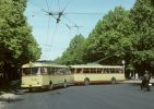miniatura zdjęcia 431362