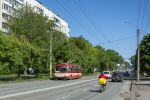 ескіз фотографії 431578