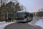 náhled fotky 431600