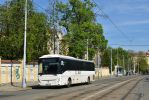 kép előnézete 431640