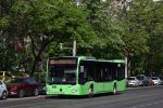 previzualizare fotografie 431892