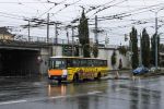 náhled fotky 432076