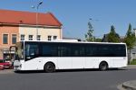 kép előnézete 433893