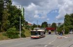 náhled fotky 435462