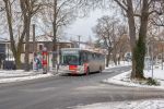 kép előnézete 437549