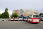 náhled fotky 437665