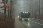 náhled fotky 442064