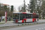 náhled fotky 442839