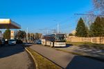 kép előnézete 443916