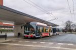 miniatura zdjęcia 443931