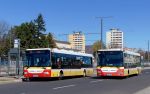náhled fotky 444078