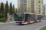 ескіз фотографії 444258