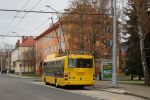 náhled fotky 444393