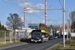 Fotoansicht 444728