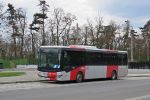 náhled fotky 444907