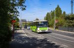previzualizare fotografie 445101