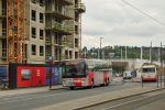 thumbnail of the photo 445601