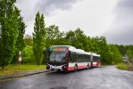 ескіз фотографії 445865