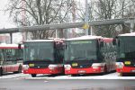 náhled fotky 446142