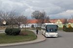náhled fotky 446151