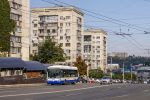 ескіз фотографії 446231