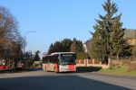 náhled fotky 446393