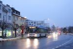 náhled fotky 446423