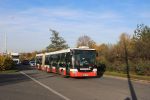 náhled fotky 446450