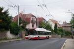ескіз фотографії 446632
