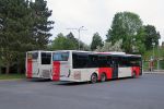 miniatura zdjęcia 446931