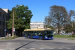 miniatura zdjęcia 447317