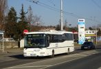 náhled fotky 449298